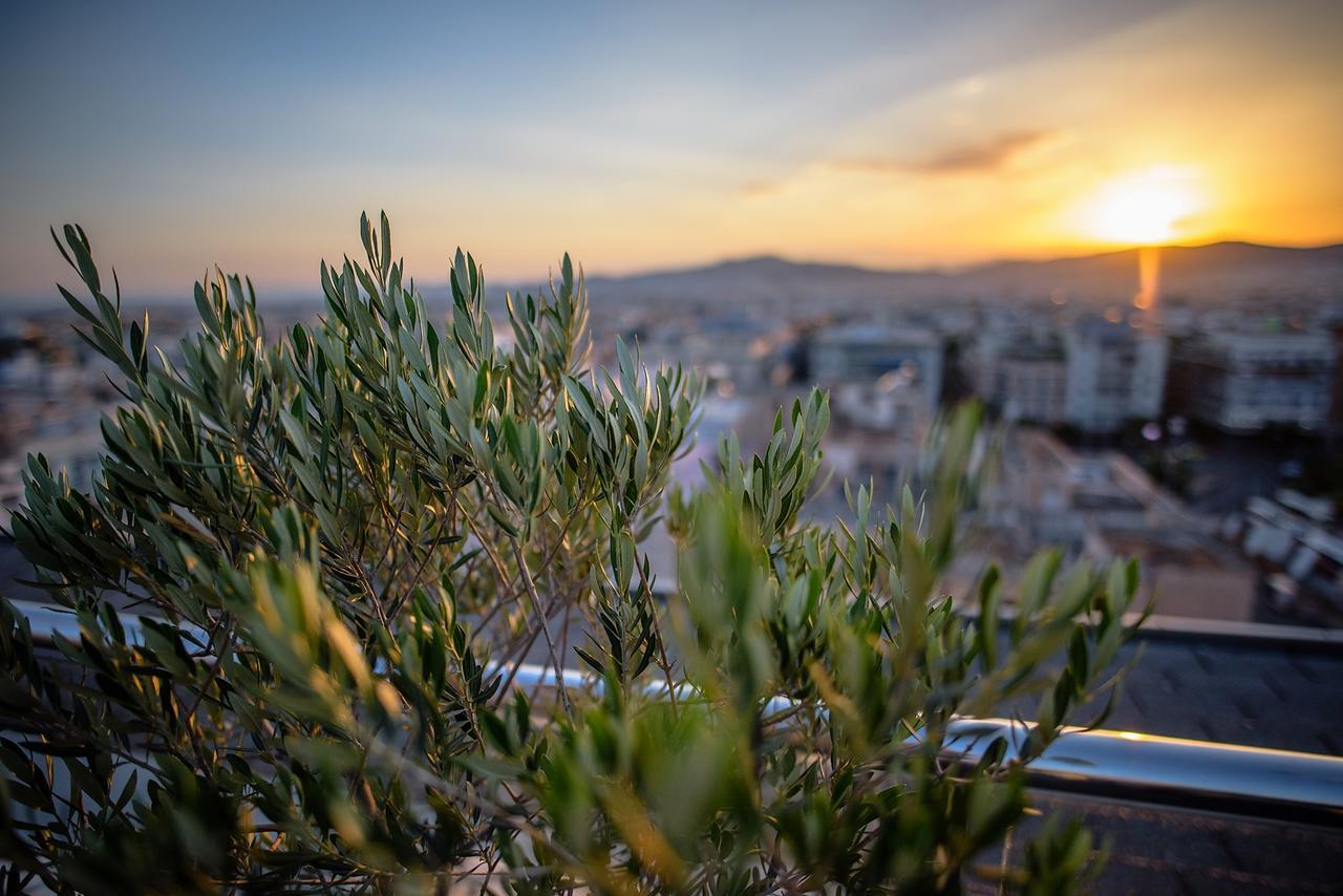ラディソン ブルー パーク ホテル アテネ（旧パーク ホテル アテネ） エクステリア 写真 Olive trees in Athens